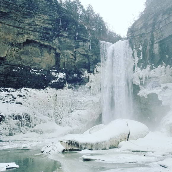 Meet your Posher, Sarah - Picture 8 of 11